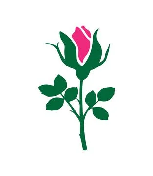 A vector image of pink rose flower Icon with a white background 스톡 일러스트