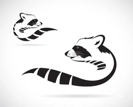 Vector image of a raccoon on white background Stock Illustration
