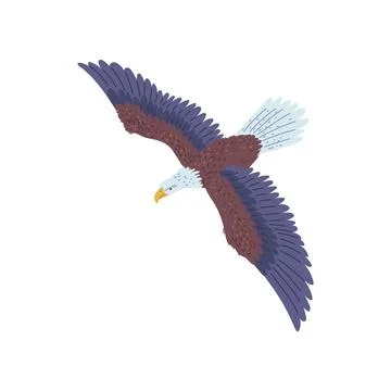 The vector image of a rapidly flying bald eagle with wings, beak and tail Stock Illustration