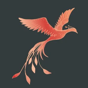 Vector image of a red firebird on a dark background Stock Illustration