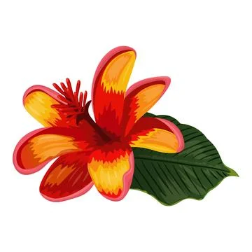 Vector image of red-yellow lilium flower Stock Illustration