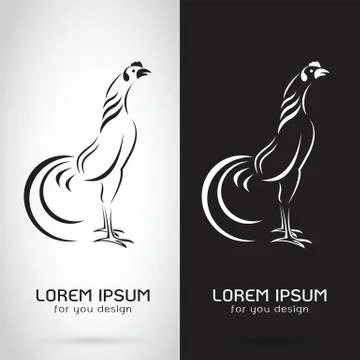 Vector image of an rooster design on white background and black background, L Stock Illustration