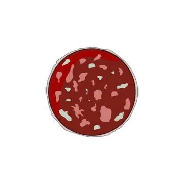 Vector image of salami slice in the technique of flat drawing Illustrazione stock