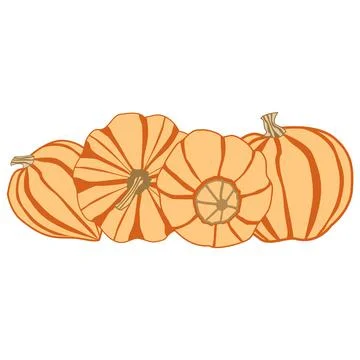 Vector image of several pumpkins in one row with yellow-orange flowers Stock Illustration