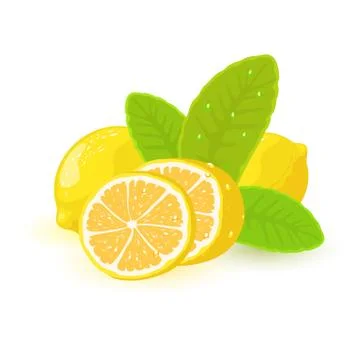 Vector image shows lemons and slices with green leaves Stock Illustration
