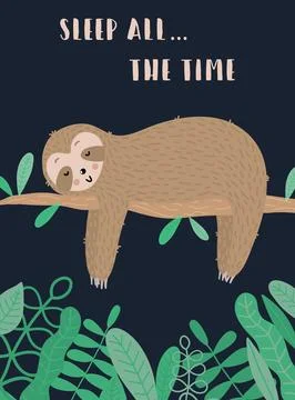 Vector image of a sleepy cute sloth on the branch in the night. Hand-drawn ca Stock Illustration