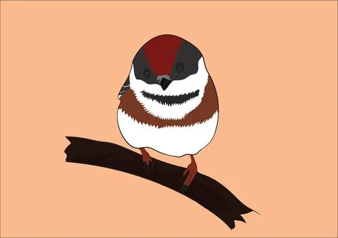 Vector Image Of Sparrow Bird Stock Illustration