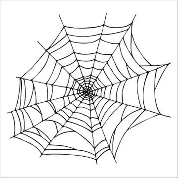Vector image of spider web isolated on white background Stock Illustration