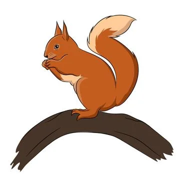 Vector Image Of Squirrel Illustrazione stock