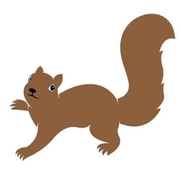 Vector image of an squirrel on white background Illustrazione stock