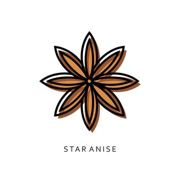 Vector image of star anise on a white background. Stock Illustration