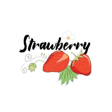 Vector image of strawberries Illustrazione stock
