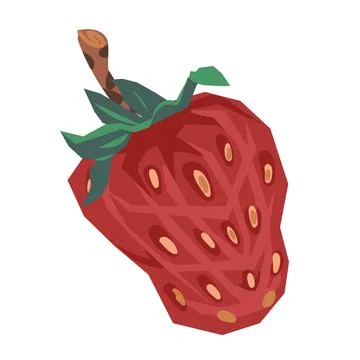 Vector image of a strawberry isolated on a white. Stock Illustration