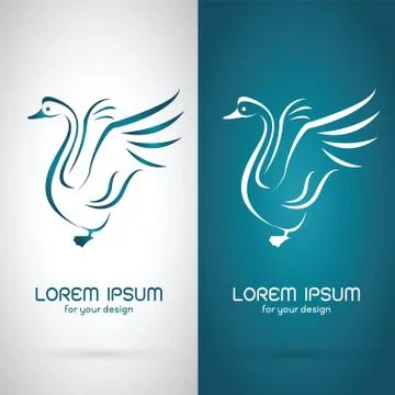 Vector image of an swan design on white background and blue background, Logo, Stock Illustration