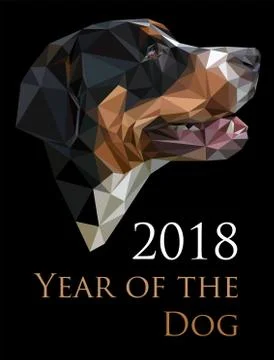 Vector image of swiss dog in low polygonal style. Ilustración de archivo