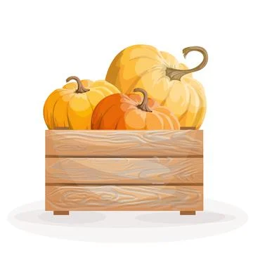 Vector image of three pumpkins in a box Isolated on white background. Concept 스톡 일러스트