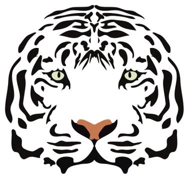 Vector image of tiger head Stock Illustration