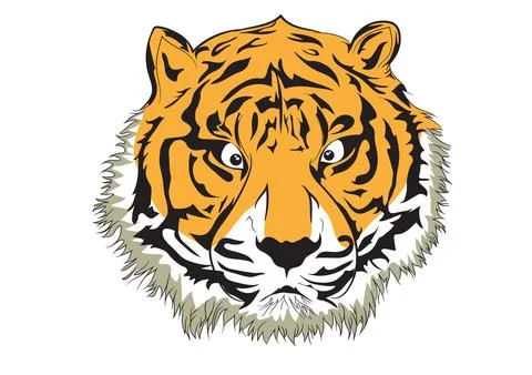 Vector Image Of Tiger Head 스톡 일러스트