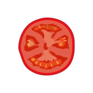 Vector image of tomato slice in the technique of flat drawing 스톡 일러스트