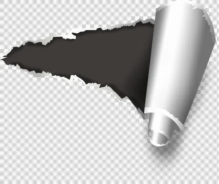 Vector image of torn paper Illustrazione stock