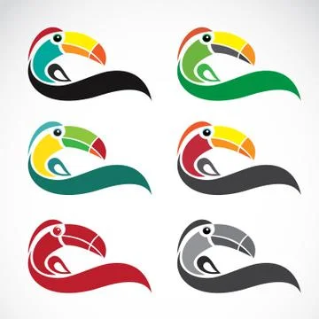 Vector image of an toucan design on white background Stockillustratie