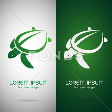 Vector image of an turtle design on white background and green background, Lo Stock Illustration