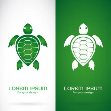 Vector image of an turtle design on white background and green background, Lo Illustrazione stock