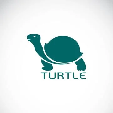 Vector image of an turtle design on white background Illustrazione stock