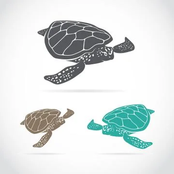 Vector image of an turtle Illustrazione stock