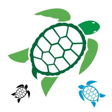 Vector image of an turtle on white background Illustrazione stock