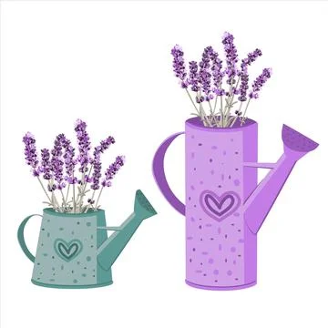 Vector image of two garden watering cans with bouquets of lavender flowers Stock Illustration