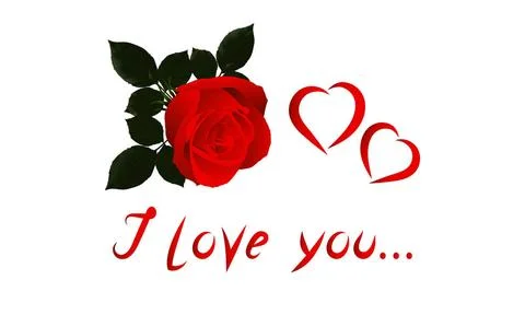Vector Image Valentine with red rose on white background. Vector Image Val... Stock Photos