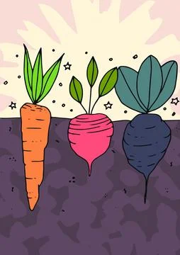 Vector image of various root vegetables Foto stock