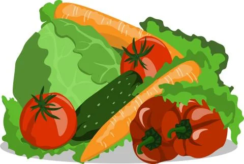 Vector image vegetables still life cucumber tomato carrots cabbage pepper Stock Illustration