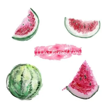 Vector image of a watermelon and halves of a watermelon drawn in lines on top of Stock Illustration