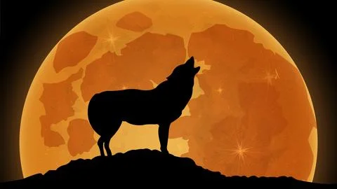 Vector image of Wolf howling at moon on hill top Stock Illustration