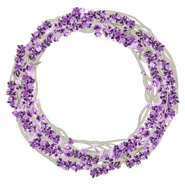 Vector image of a wreath of lavender twigs and flowers in purple flowers Stock Illustration