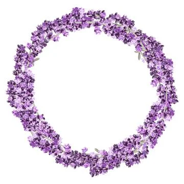 Vector image of a wreath of lavender twigs and flowers in purple and pink Stock Illustration