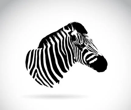 Vector image of an zebra head Illustrazione stock