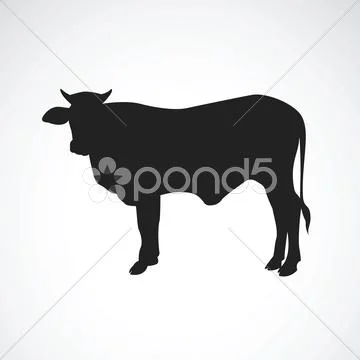 Vector images of cow silhouette on a white background. Stock Illustration