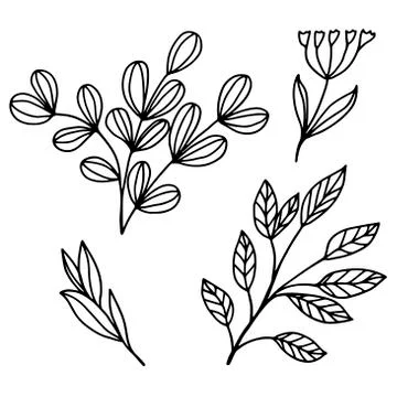 Vector images on a white background in a linear style, leaves and flowers for Stock Illustration
