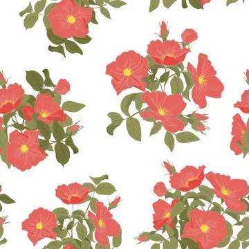 Vector imprints blooming wild rose seamless pattern. Abstract digital hand drawn Stock Illustration