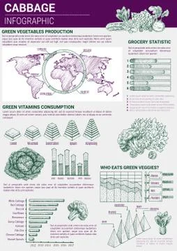 Vector infographic cabbage vegetable products Illustrazione stock