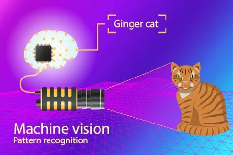 Vector infographic - computer vision and pattern recognition Stock Illustration