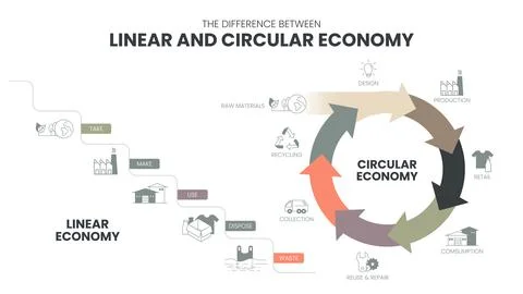 The vector infographic diagram of the difference between the circular economy Illustrazione stock