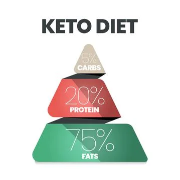 A vector infographic of The Keto Diet base on strategy pyramid model concept  Stock Illustration