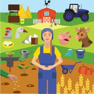 Vector. Infographics education. Profession of the farmer, animal husbandry Stock Illustration