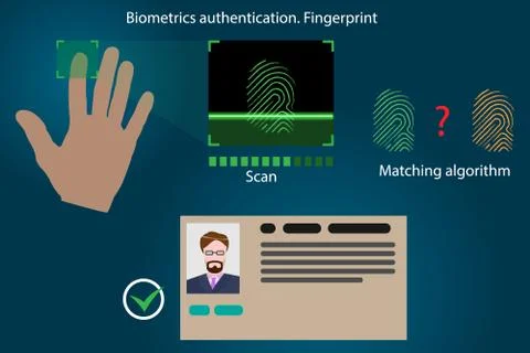 Vector infographics - fingerprint recognition type of biometric authentication Stock Illustration