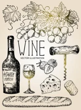 Vector ink hand drawn style red wine set Stock-Illustration