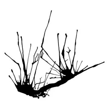 Vector ink splashes. Concept of deer horns or tree. Vector element for design. Stock Illustration